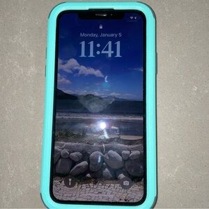iPhone X 64GB with ultra protective teal case